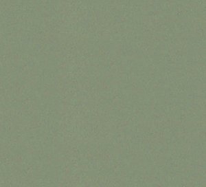 C181004 image