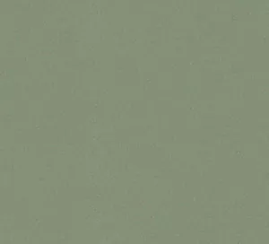 C181004 image