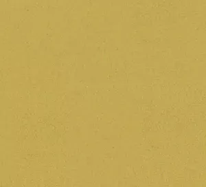 C181063 image