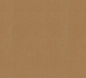 C340113 image