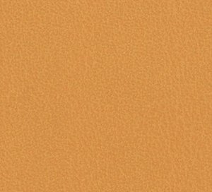 C340570 image