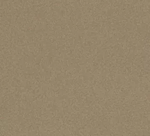 C340747 image
