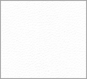 C528046 white image