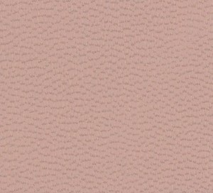 C528319 image