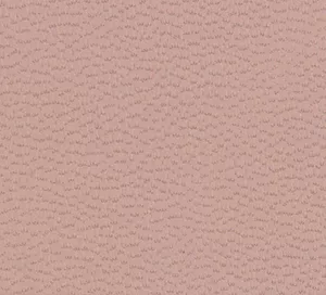 C528319 image
