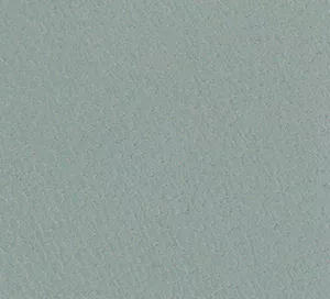 C528343 image