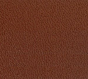 C528509 image