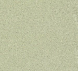 C528619 image