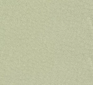 C528619 image