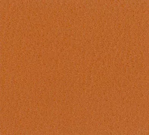C528731 image