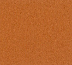 C528731 image