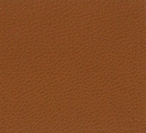 C528821 image