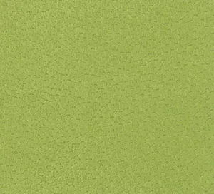 C528897 image