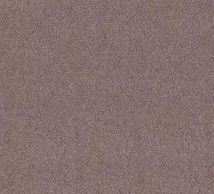 C171966 image