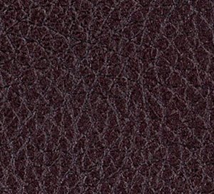 C664831 image