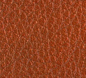 C664844 image