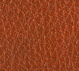 C664844 image