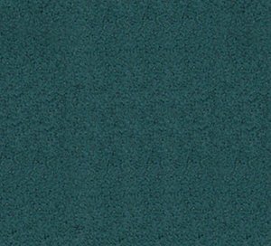 C171748 image