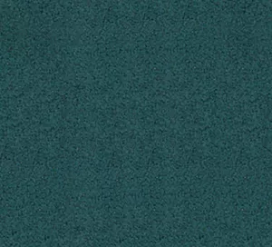 C171748 image
