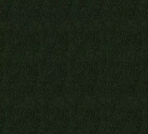 C171794 image