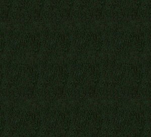 C171794 image