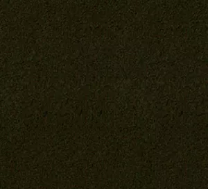 C171868 image