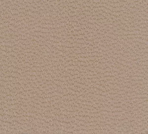 C319311 image