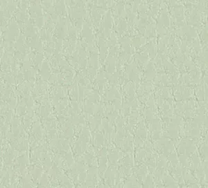 C357202 image