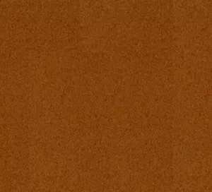 C527509 image