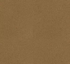 C527570 image
