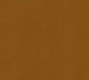 C527731 image