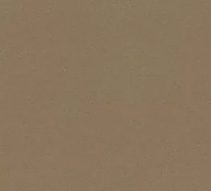 C527732 image