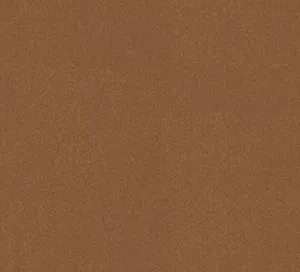 C527819 image