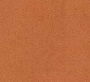 C527864 image