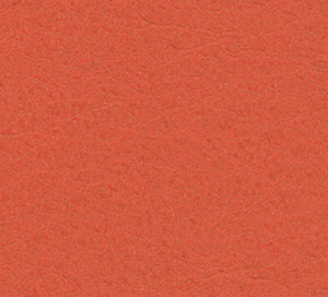 C738304 image