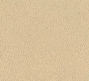 C738605 image