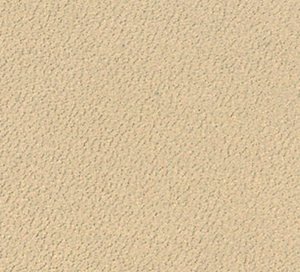 C738605 image