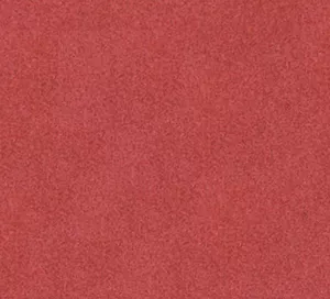 C171304 image