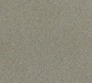 C171338 image
