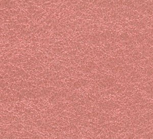 C329651 image