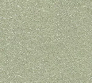 C329673 image
