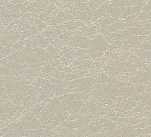 C329747 image