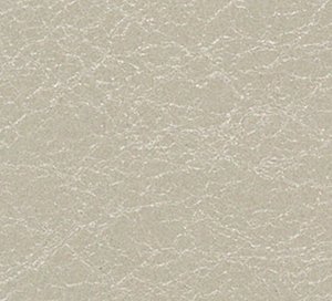 C329747 image