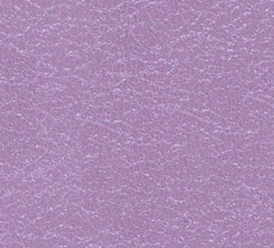 C329771 image
