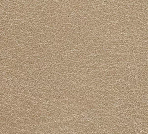 C329814 image