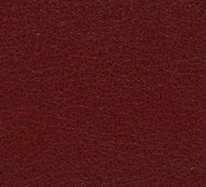 C329822 image