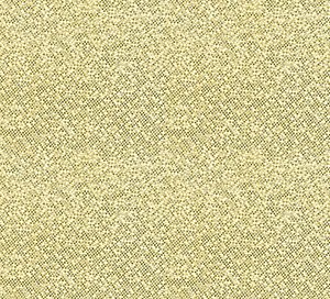 C351724 image