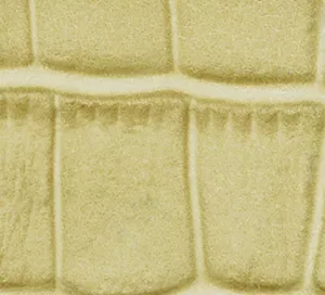 C347204 image