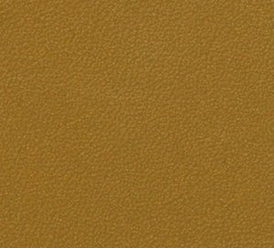 C411397 image
