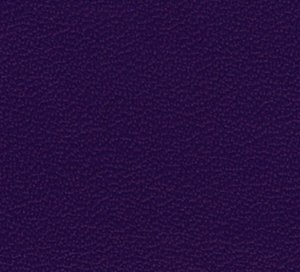 C411881 image
